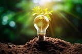 lightbulb tree with sunlight on soil. concept save world and energy power, Generative AI