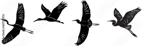flying cranes, herons, storks silhouette on a white background vector