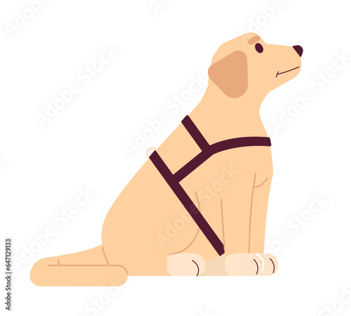 Guide dog labrador 2D cartoon character. Support dog isolated vector animal white background. Pet golden retriever. Sitting puppy cute. Domestic animal assisted therapy color flat spot illustration