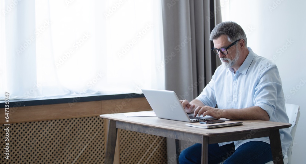Mature businessman working from home using laptop Mature businessman working from home using laptop