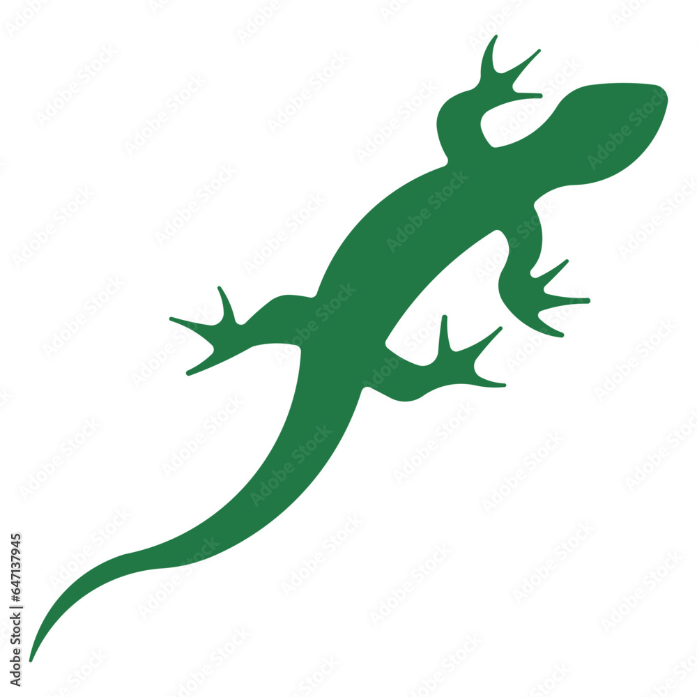 Fototapeta premium amphibian