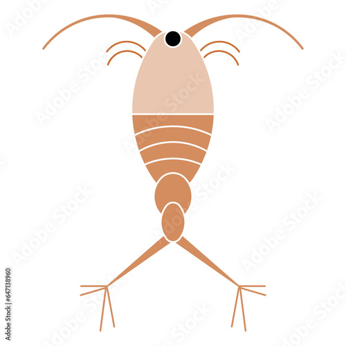 Copepod