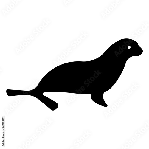 California sea lion