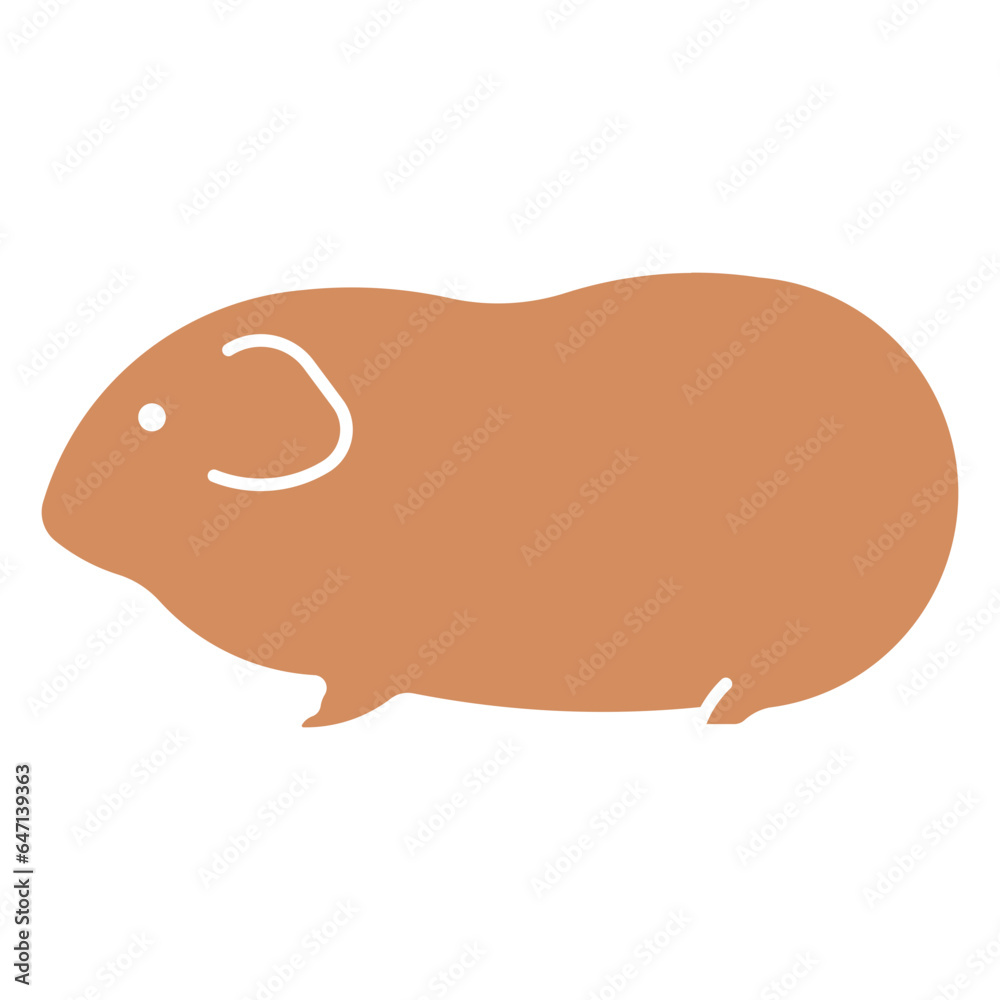 cavy cavy