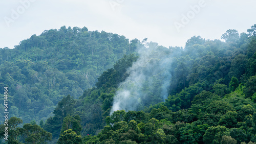 Natural scenery of a large  rich forest. world environment day concept forest conservation Beautiful green and misty mountains