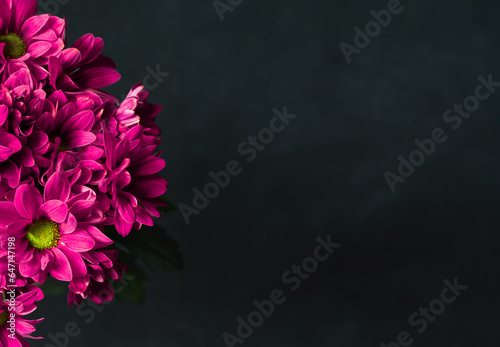 Gerbera on a black empty surface, red flowers on a black surface
