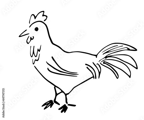 Simple vector drawing in doodle style. Rooster isolated on white background. Farm birds, poultry. Sketch in ink.