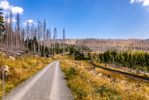 Spätsommerwanderung durch den Nationalpark Harz rund um Schierke - Sachsen-Anhalt - Deutschland