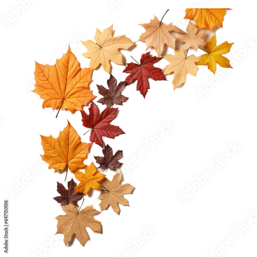 autumn maple leaves isolated on Transparent background, in the style of frame construction