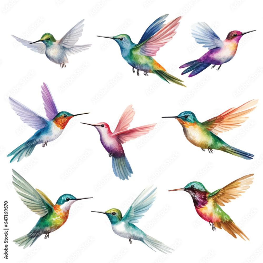 Set of Hummingbird