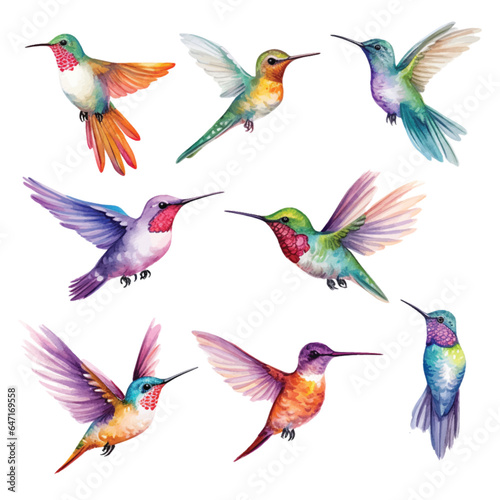 Set of Hummingbird