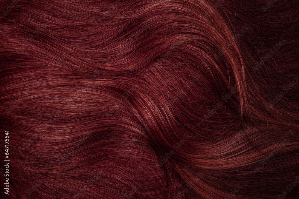 Fototapeta premium Dark red hair close-up as a background. Women's long brown hair. Beautifully styled wavy shiny curls. Coloring hair with bright shades. Hairdressing procedures, extension.