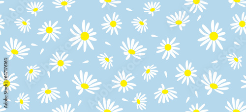 Daisy flower pattern. Beautiful White flower background. floral blossom daisy. Spring white flower design vector. Daisy's on a light blue background. Vector design for fabric, wrap paper, print card.
