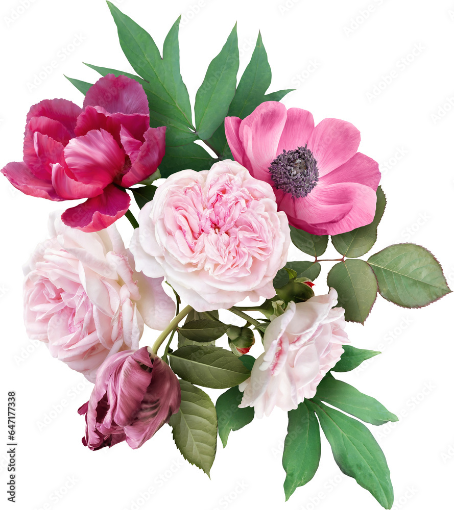 Pink roses, anemone and tulip isolated on a transparent background. Png file. Floral arrangement, bouquet of garden flowers. Can be used for invitations, greeting, wedding card. Pink roses, anemone and tulip isolated on a transparent background. Png file. Floral arrangement, bouquet of garden flowers. Can be used for invitations, greeting, wedding card.