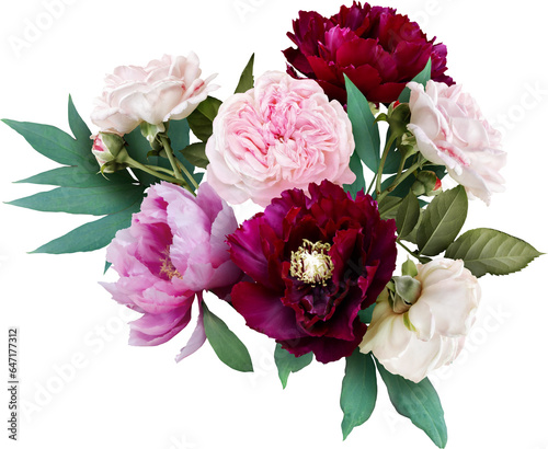Fototapeta Naklejka Na Ścianę i Meble -  Pink roses and maroon peony isolated on a transparent background. Png file.  Floral arrangement, bouquet of garden flowers. Can be used for invitations, greeting, wedding card.