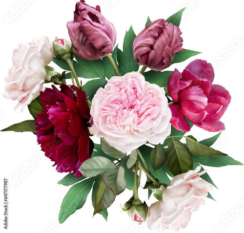 Fototapeta Naklejka Na Ścianę i Meble -  Pink rose, tulip and maroon peony isolated on a transparent background. Png file.  Floral arrangement, bouquet of garden flowers. Can be used for invitations, greeting, wedding card.