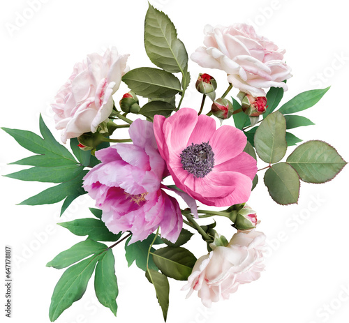 Fototapeta Naklejka Na Ścianę i Meble -  Pink roses, anemone and peony isolated on a transparent background. Png file.  Floral arrangement, bouquet of garden flowers. Can be used for invitations, greeting, wedding card.