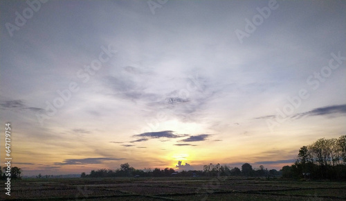 scenery of sunset with an overlooking view of trees on the field 