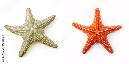 An isolated starfish on a clean white background, reminiscent of the sea
