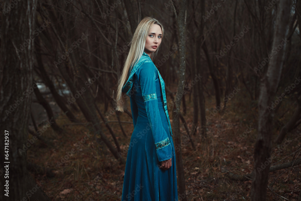 Fairy princess in autumn forest