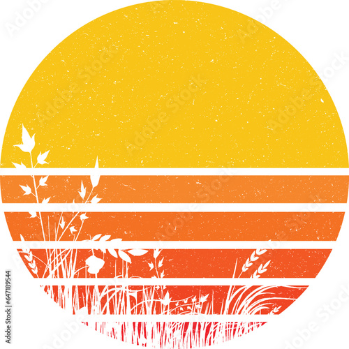 vintage sunset  tree nature