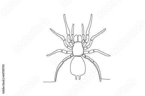 A single continuous line drawing of an spider for the farm's logo identity.  Single line drawing graphic design vector illustration

