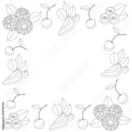 Coloring book for kids frame of different berries  white background