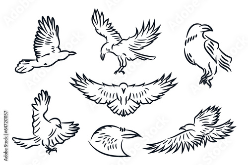 Raven bird or eagle line art hand drawn logo icon vector illustration collection