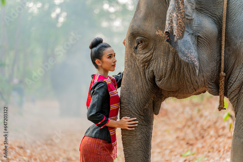 Photography Young asian thai woman in traditional northeast costume pampering an elephant in a jungle