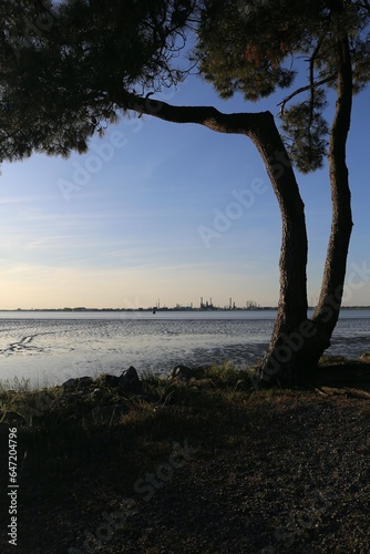 Landscape photo, Paimboeuf, Donges refinery, south estuary, industrial landscape, the banks of the Loir