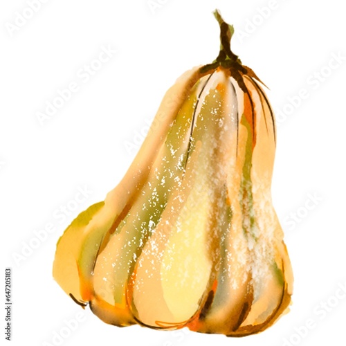 Pumpkin for Halloween or Thanksgiving, for autumn decorative design, Halloween invitation, harvest