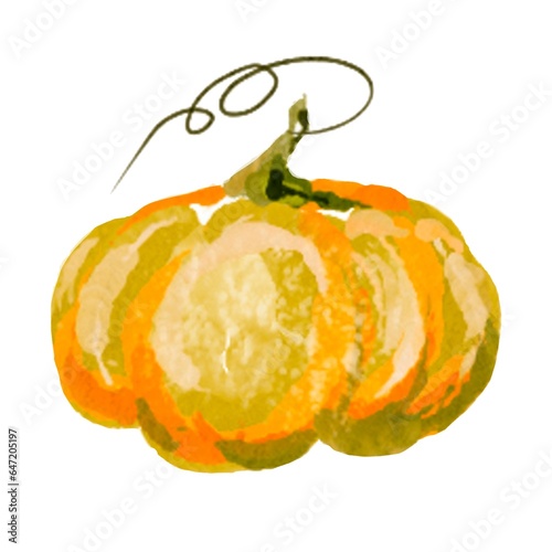 Pumpkin for Halloween or Thanksgiving, for autumn decorative design, Halloween invitation, harvest