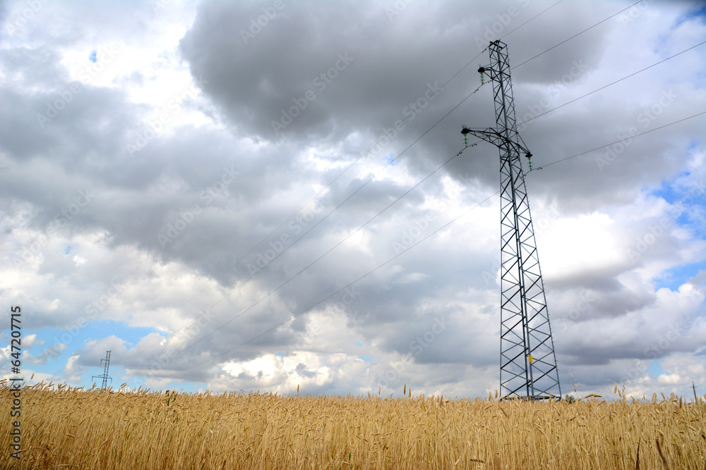 power tower on the wheat field with rainy clouds on background bottom view power tower on the wheat field with rainy clouds on background bottom view