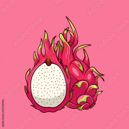 dragon fruit vector illustration
