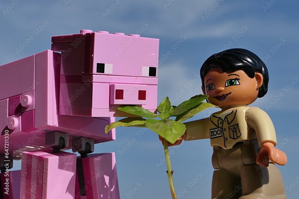 Obraz premium LEGO Duplo female ZOO attendant is offering fresh basil herb leaves to large LEGO Minecraft pig mob. Summer daylight sunsine, blue skies with some scattered clouds in background.