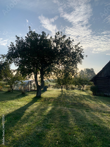 Sunrise and morning mist with the view to the garden. First rays in the morning. Peaceful and serenity in the village