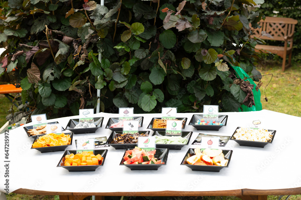 Obraz premium buffet minekraft essen party kind