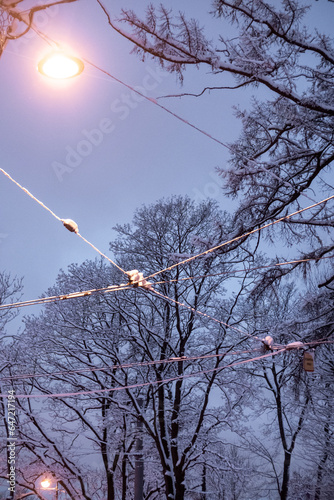 Snow cover in the evening city. The snow lies beautifully on the trees and buildings.