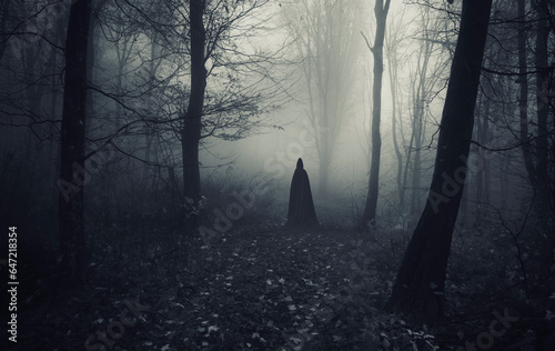 mysterious cloaked silhouette in dark fantasy forest © andreiuc88