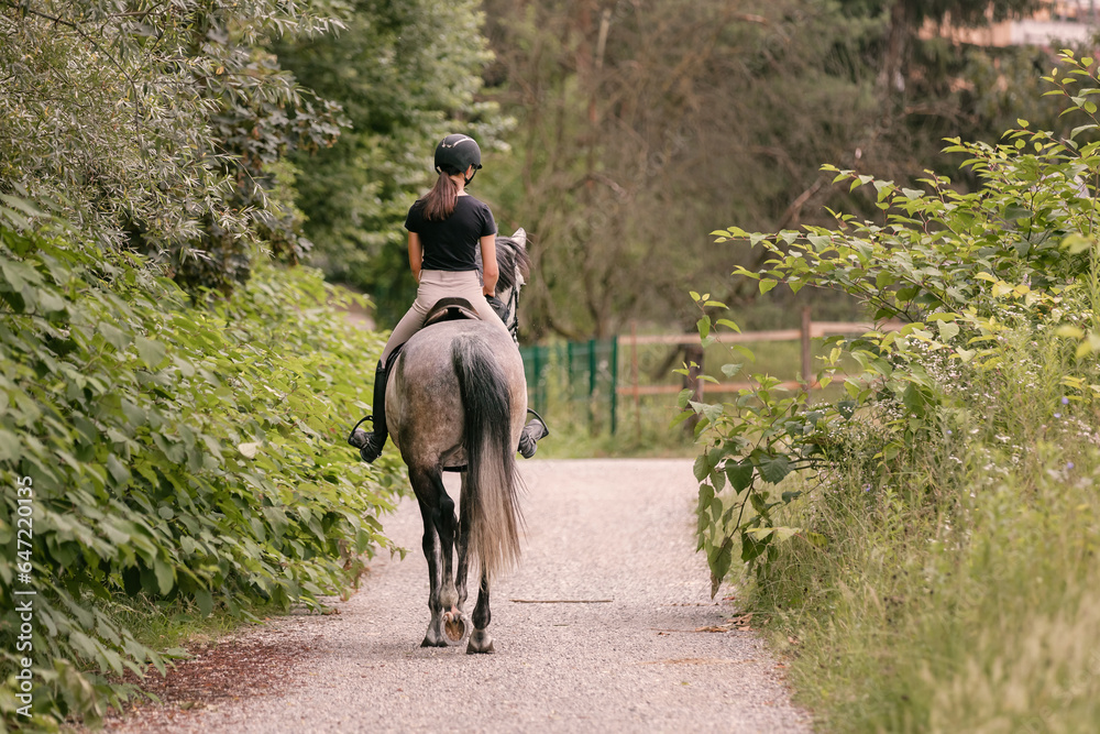 Young woman and her beautiful red horse during calm trail ride. Ecotourism and animal care concepts. Young woman and her beautiful red horse during calm trail ride. Ecotourism and animal care concepts.
