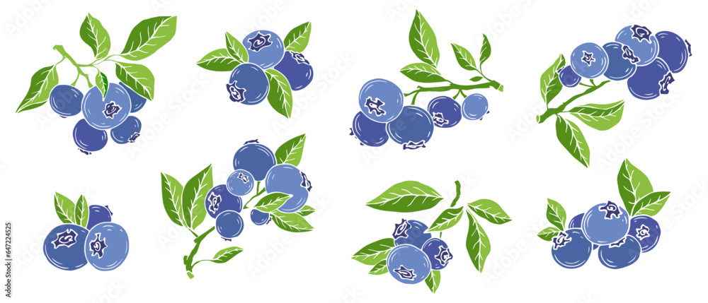 Set of ripe wild blueberries. Vector graphics. Set of ripe wild blueberries. Vector graphics.