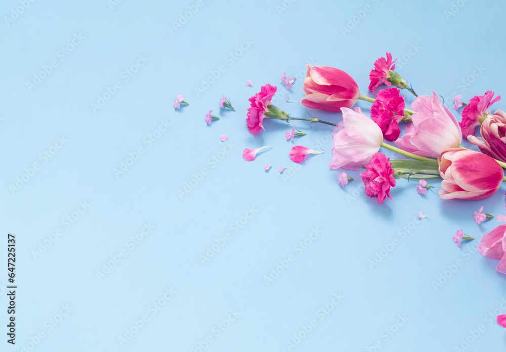 beautiful spring flowers on blue background beautiful spring flowers on blue background