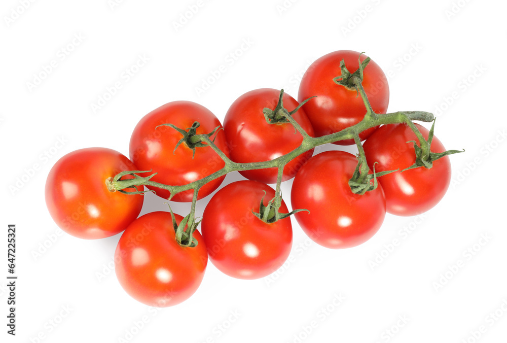 Branch with ripe cherry tomatoes isolated on white, top view Branch with ripe cherry tomatoes isolated on white, top view