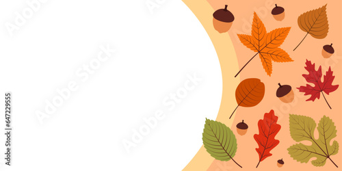 Banner with colorful autumn leaves and acorns of different sizes 3 by 6 at the bottom. The left part of the banner is free, empty, white for text, inscriptions