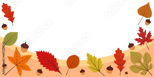 Banner with colorful autumn leaves and acorns of different sizes 3 by 6 at the bottom. The upper part of the banner is free, empty, white for text, inscriptions