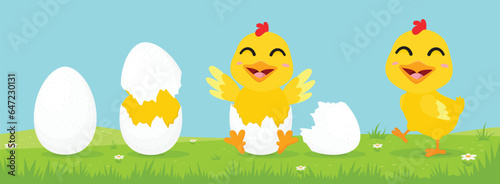Cartoon process baby chicken hatching from the egg