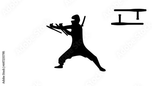 Ninja weapon tonfa