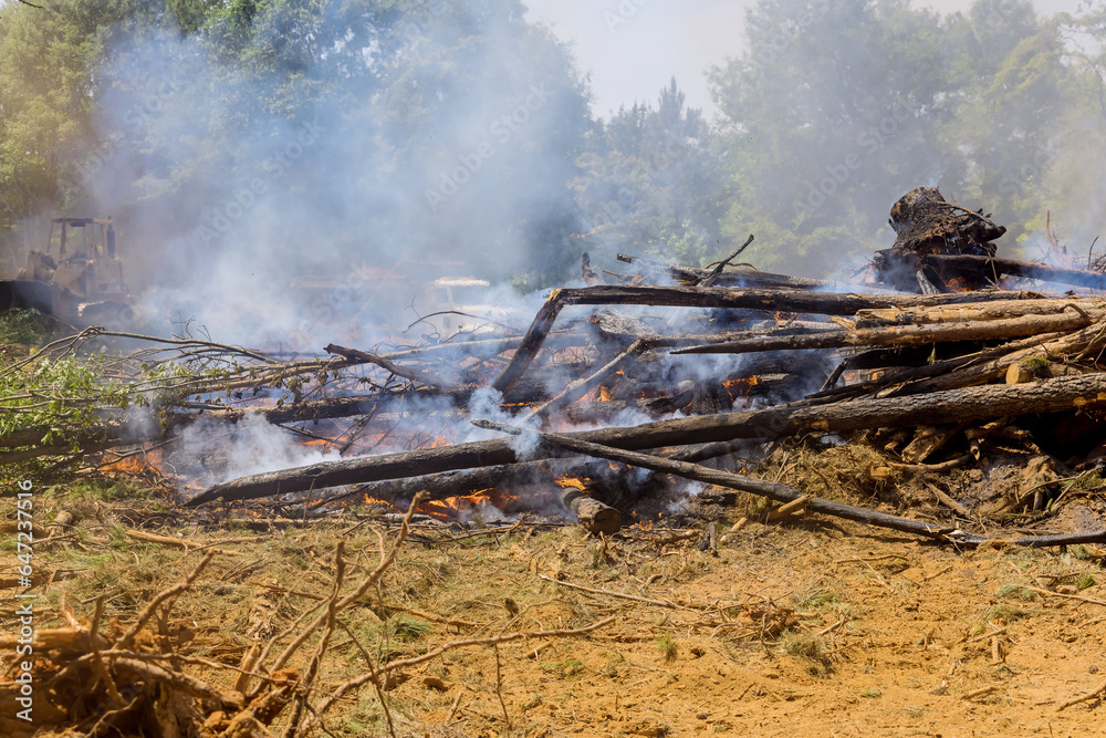Preparation land for construction by burning downed trees in preparation for construction Preparation land for construction by burning downed trees in preparation for construction