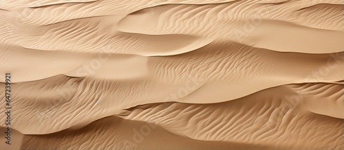 Background with the texture of clean sand © AkuAku