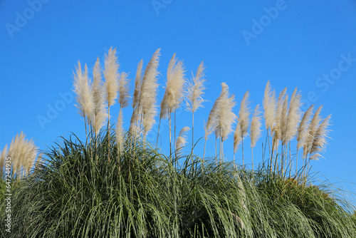 秋季、紅葉日和